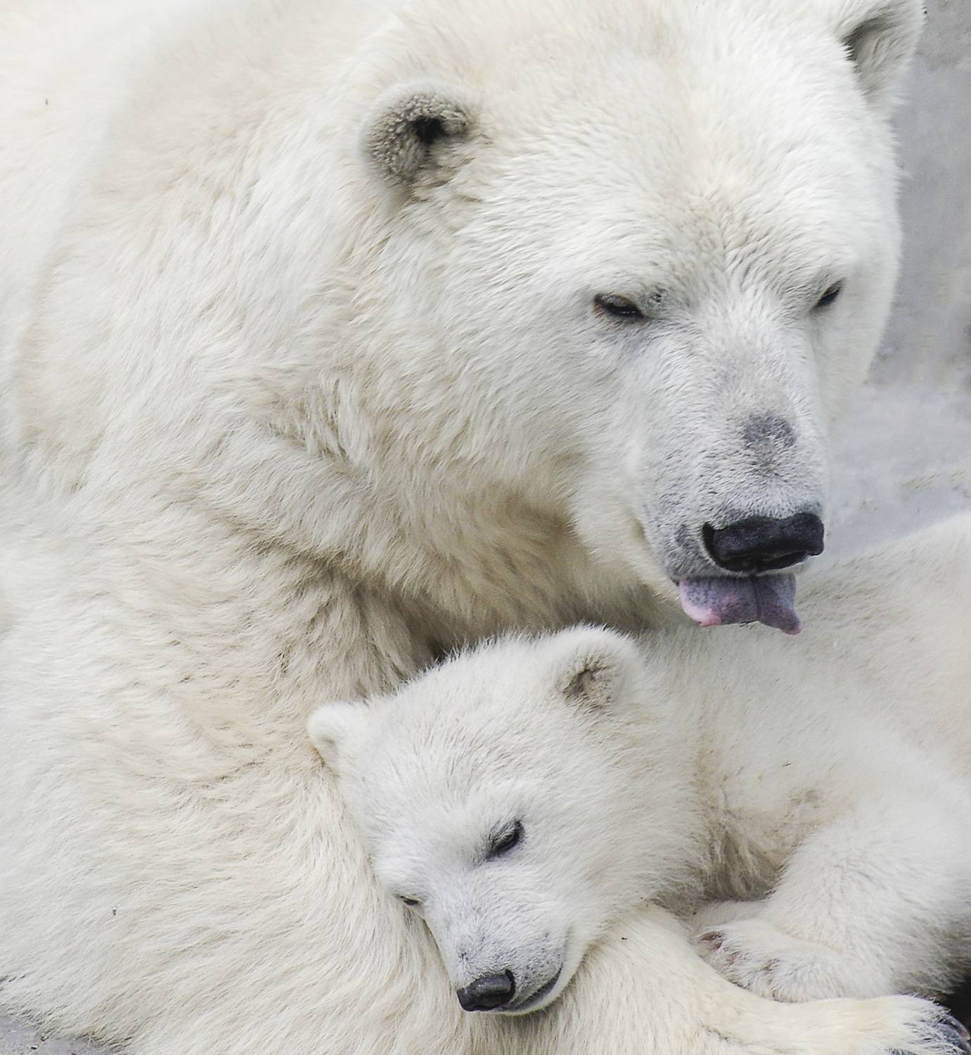 , Михаил Измайлов