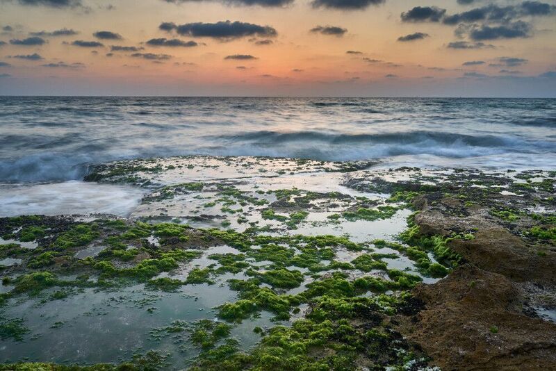 The Mediterranean Sea фото превью