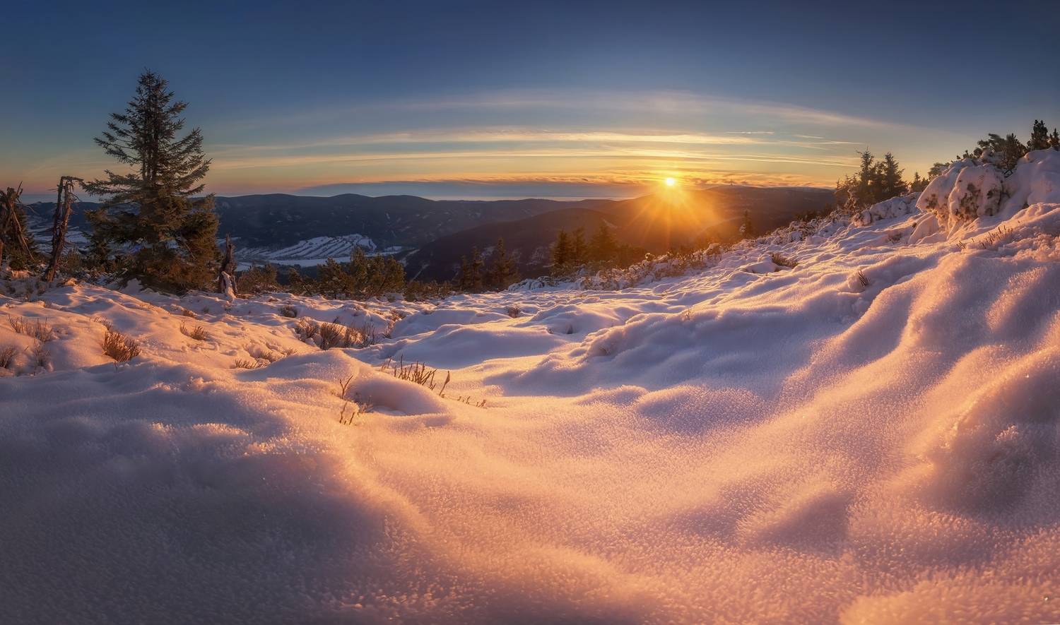 landscape, Petr Fiala