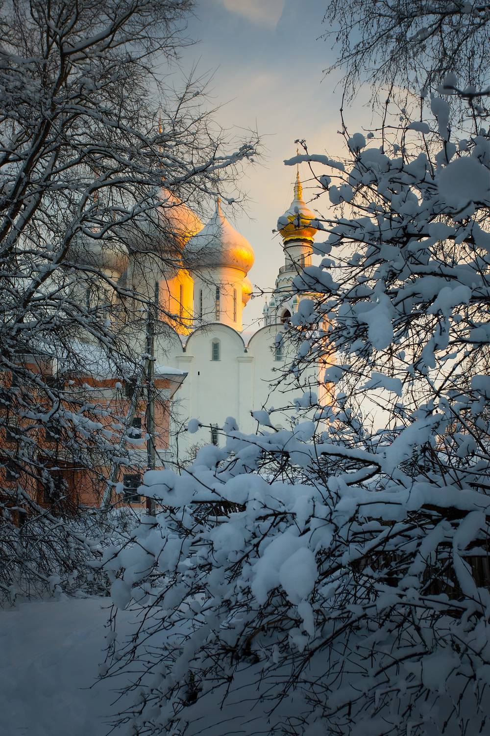 вологда, софийский собор, зима, снег, Колтакова Наталия