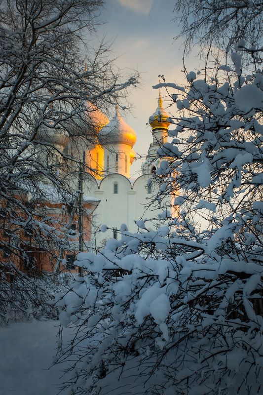 вологда, софийский собор, зима, снег С Новым годом! фото превью