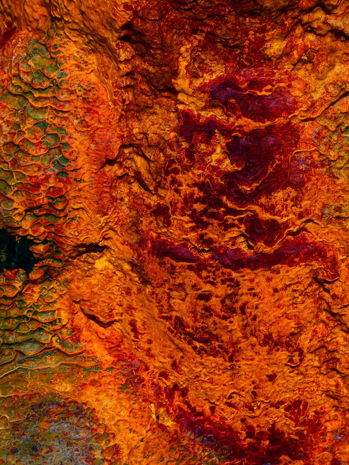 , Вукотић Никола