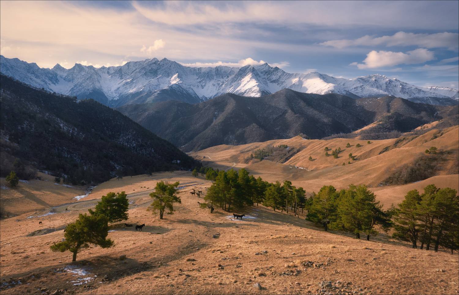 , Богорянов Алексей