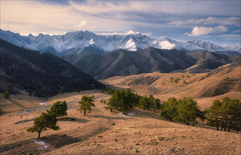 *** фото превью