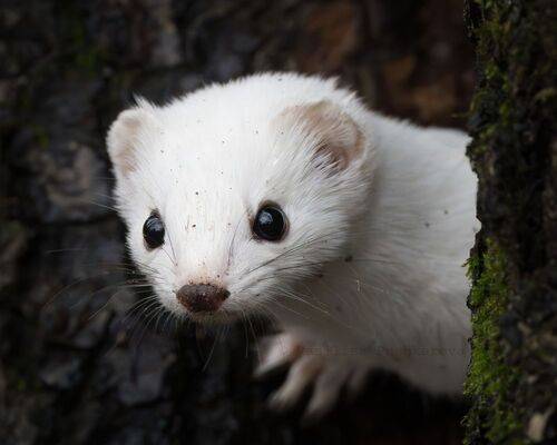 Покажи, что там у тебя?