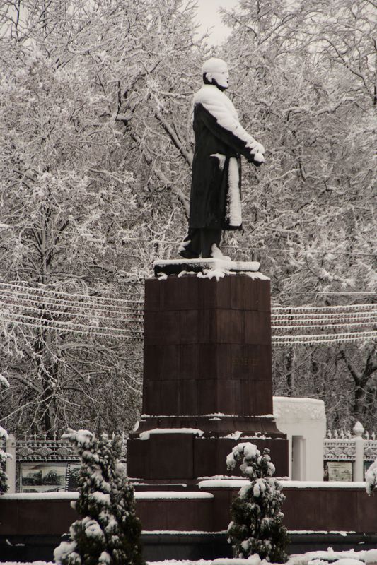 скульптуры, монумент, ленин, памятник, городская среда, город, гомель, беларусь, стрит Занесло Ильича... фото превью