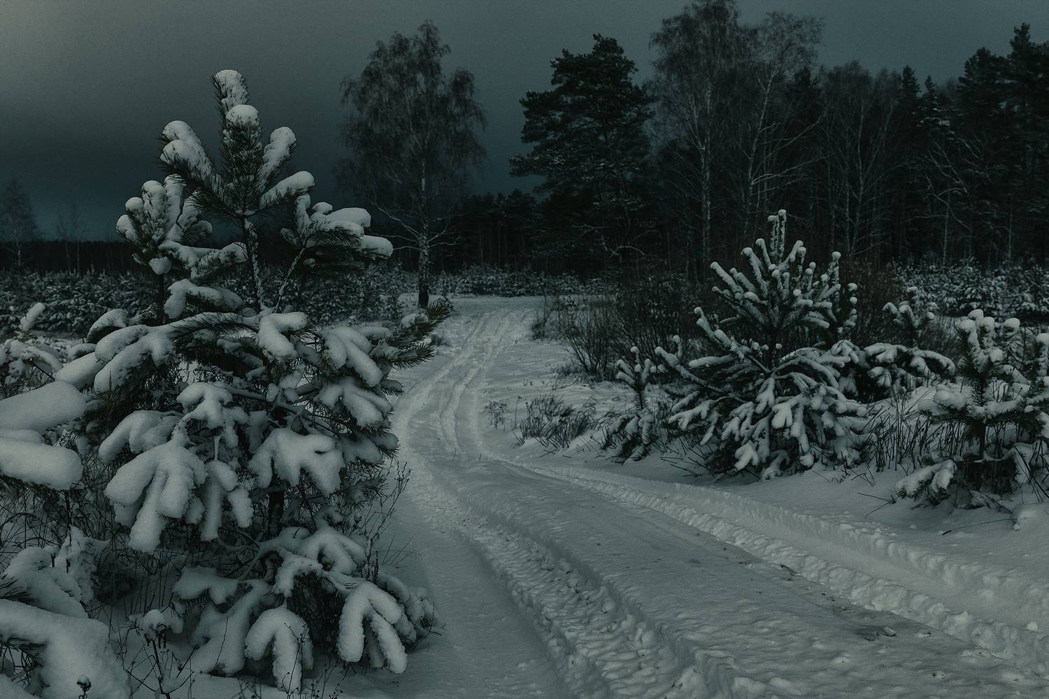 , Алексей Бондаренко