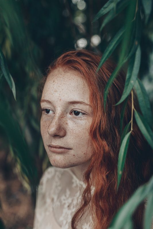 35mm, 4x5, 6x6, 6х6, 85mm, Art, Artnude, Ballerina, Ballet, Battur, Beautiful, Beauty, Canon, Canon 5D Mark III, Car, Color, Dance, Dress, Emotion, Eyes, Face, Flowers, Ganzo, Genre, GirlHair, Hero,LightLilac, Model, Mongol, Mongolia  фото превью
