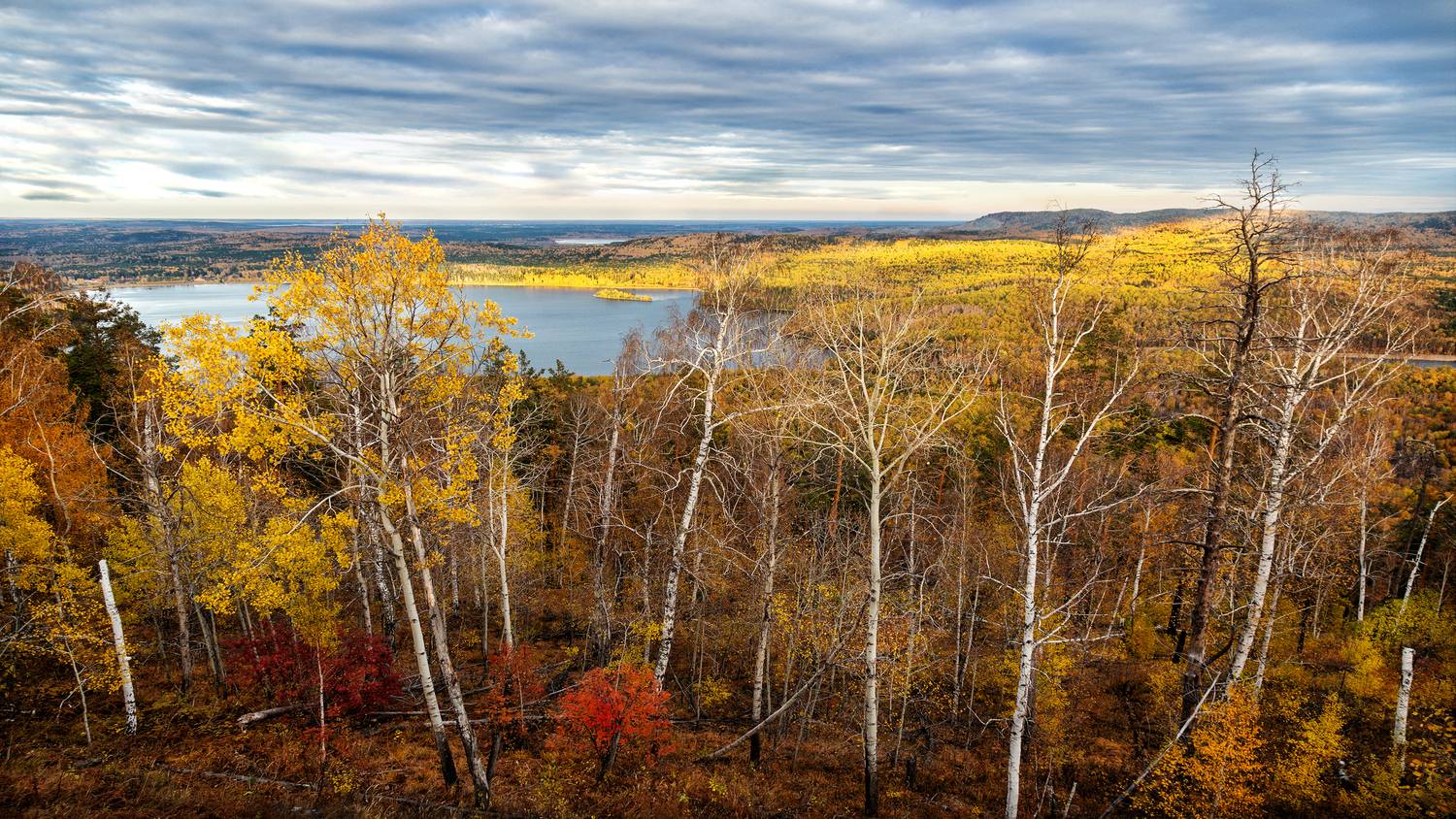 , Ушаков Валерий