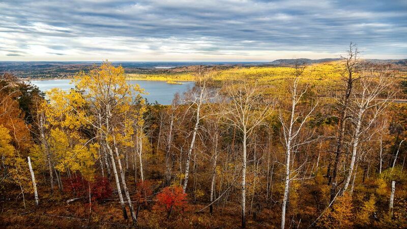 Осень фото превью