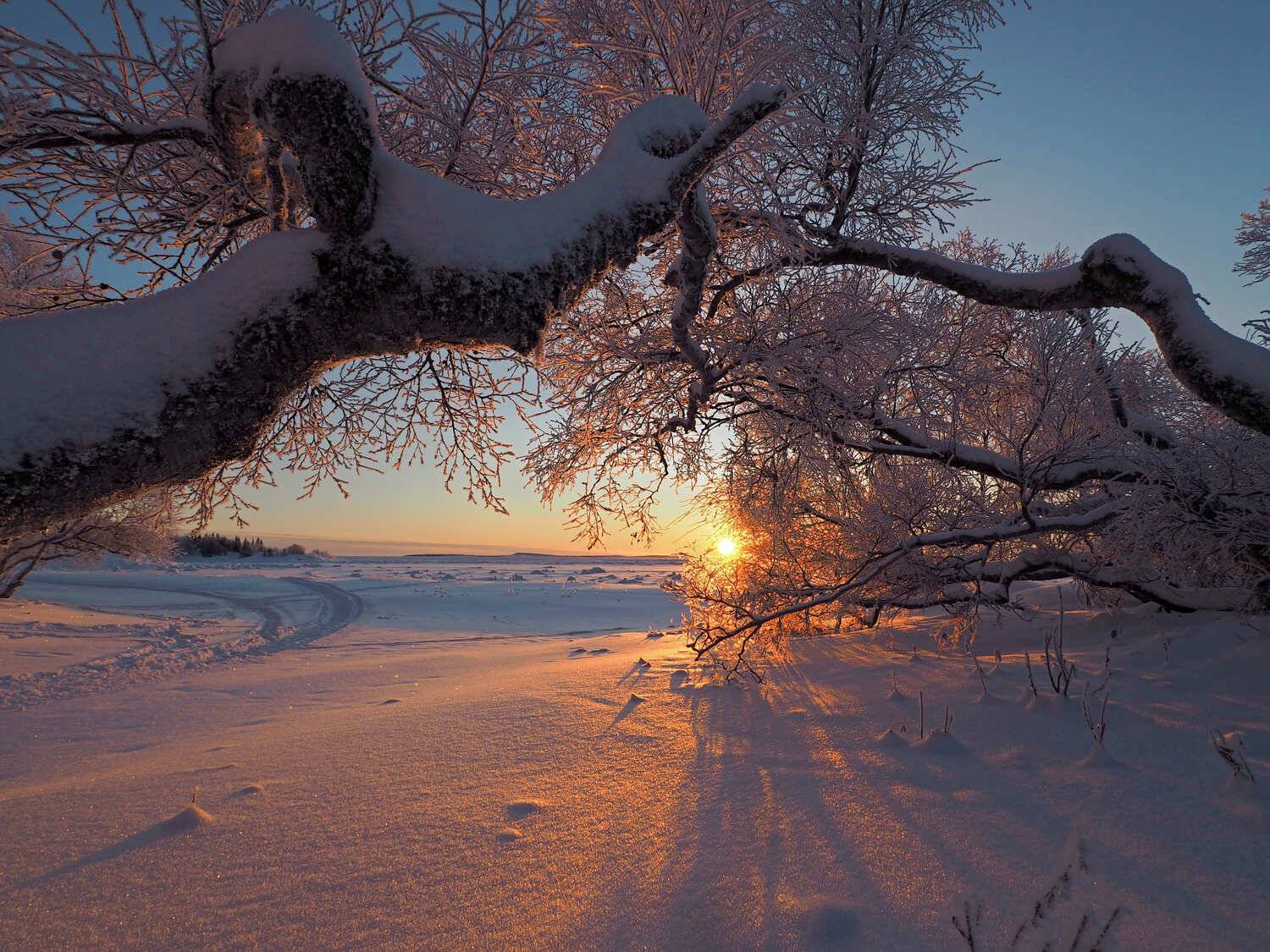 , Яковлев Евгений