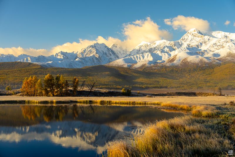 алтай Цвета Алтая фото превью