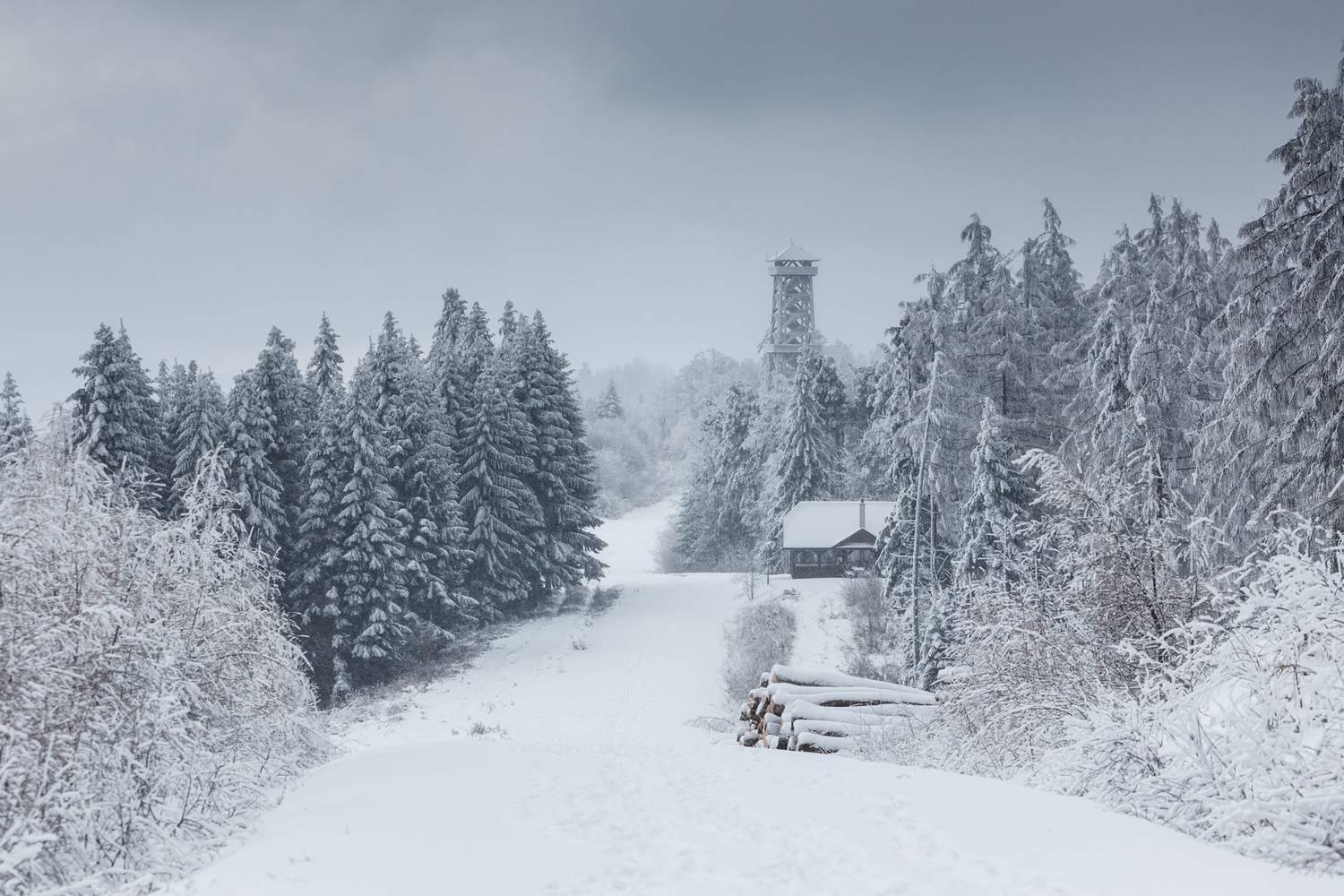 ,  Mirosław Pruchnicki
