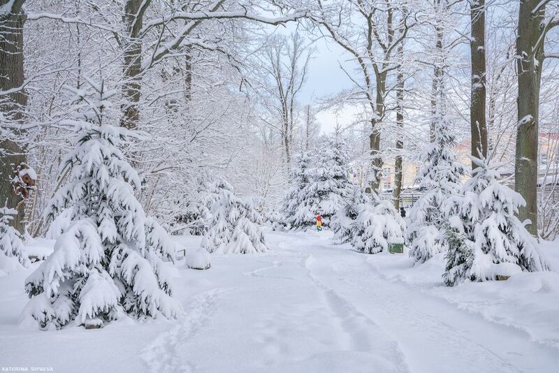 Зимняя сказка фото превью