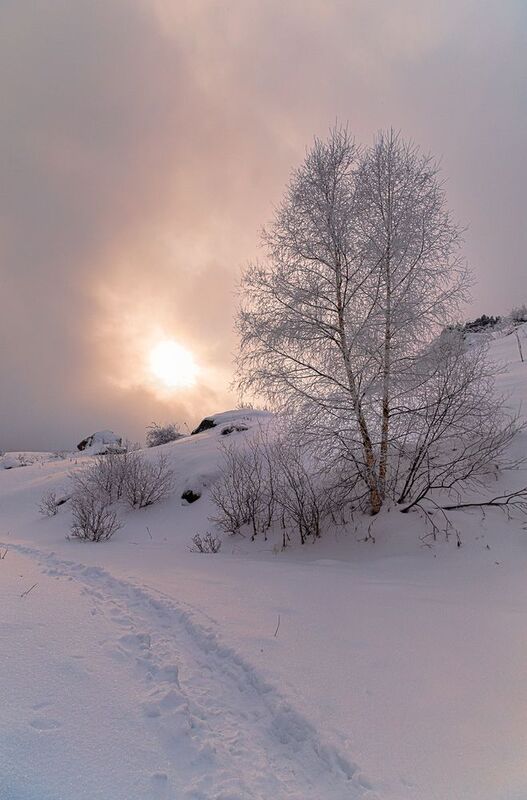 кыргызстан, ала-арча Дорога к Солнцу фото превью