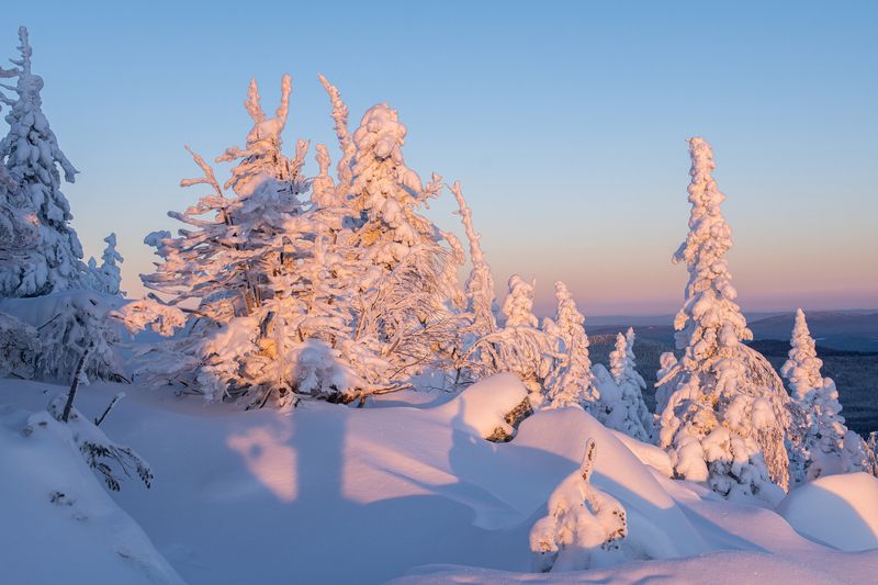 ******* фото превью