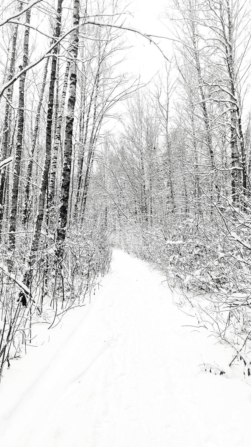 , Фото Александр