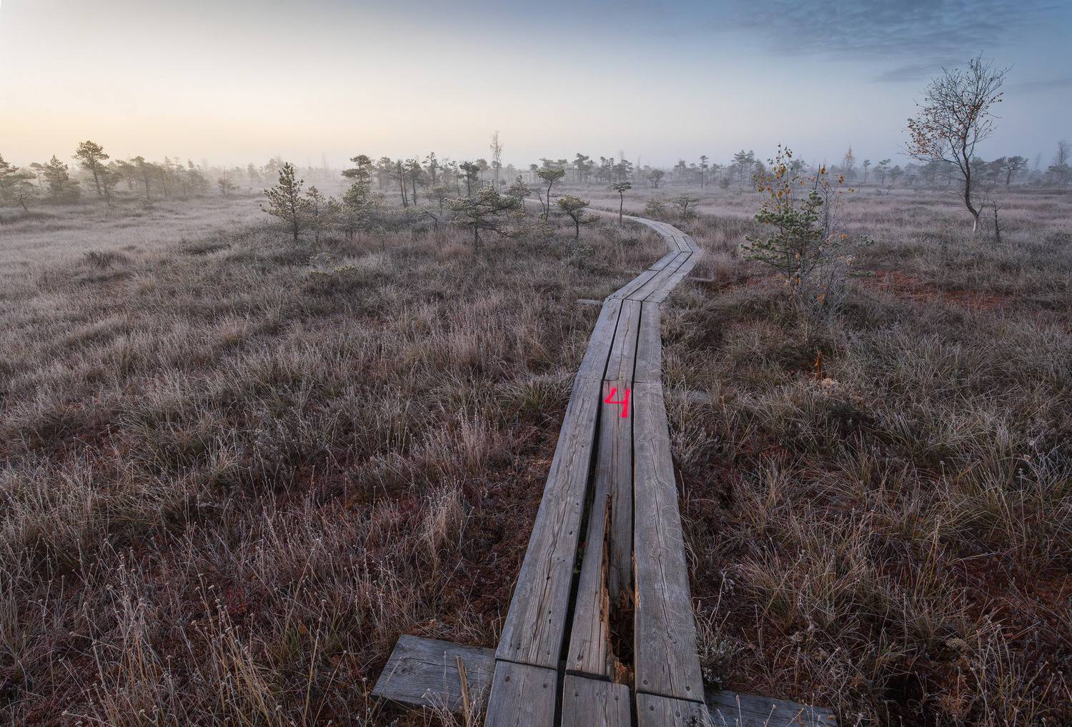 , Гордон Николай