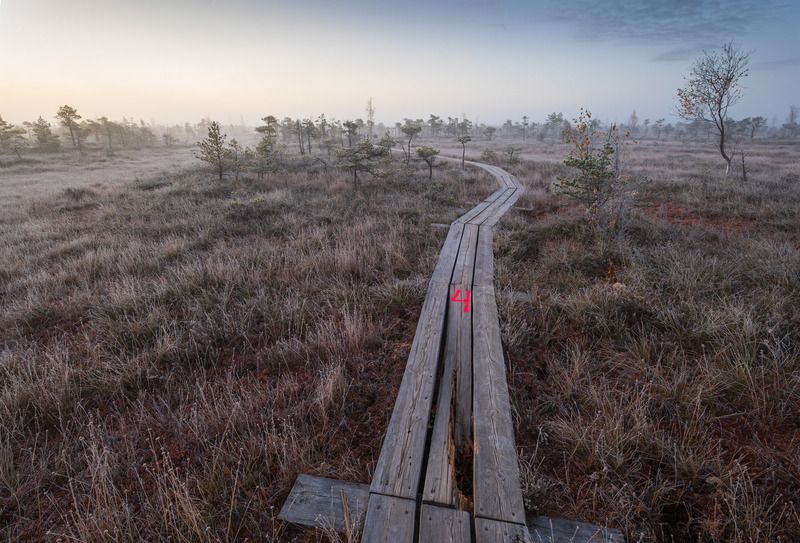 Утренние тропы фото превью