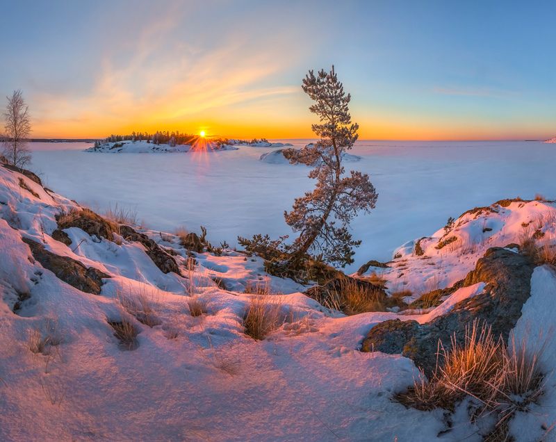 зима, зимнее, снег, снежное, в снегу, ладожское озеро, карелия, сосна, дерево, остров, скалы, рассвет, Новый рассвет фото превью