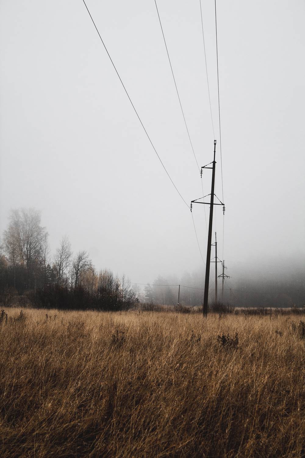 Карелия, республика Карелия, природа Карелии, Лахденпохья, Сортавала, туман, Кормашова Татьяна