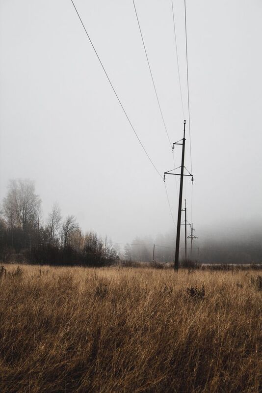 Карелия, республика Карелия, природа Карелии, Лахденпохья, Сортавала, туман Унылый день фото превью