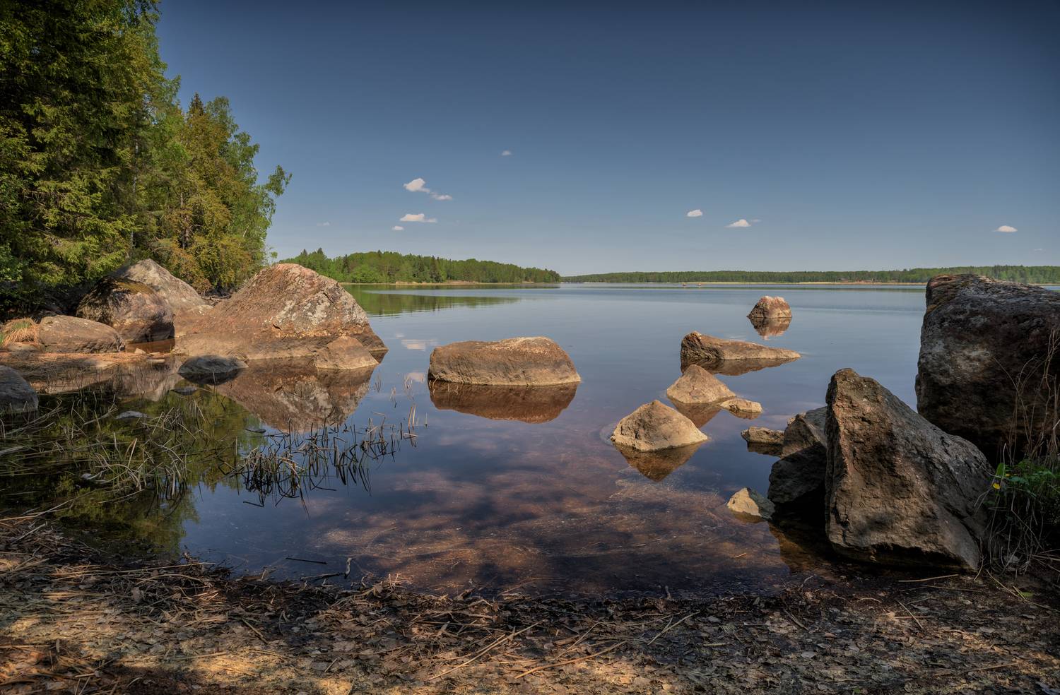 выборг, парк, монрепо, весна, Тихонов Дмитрий
