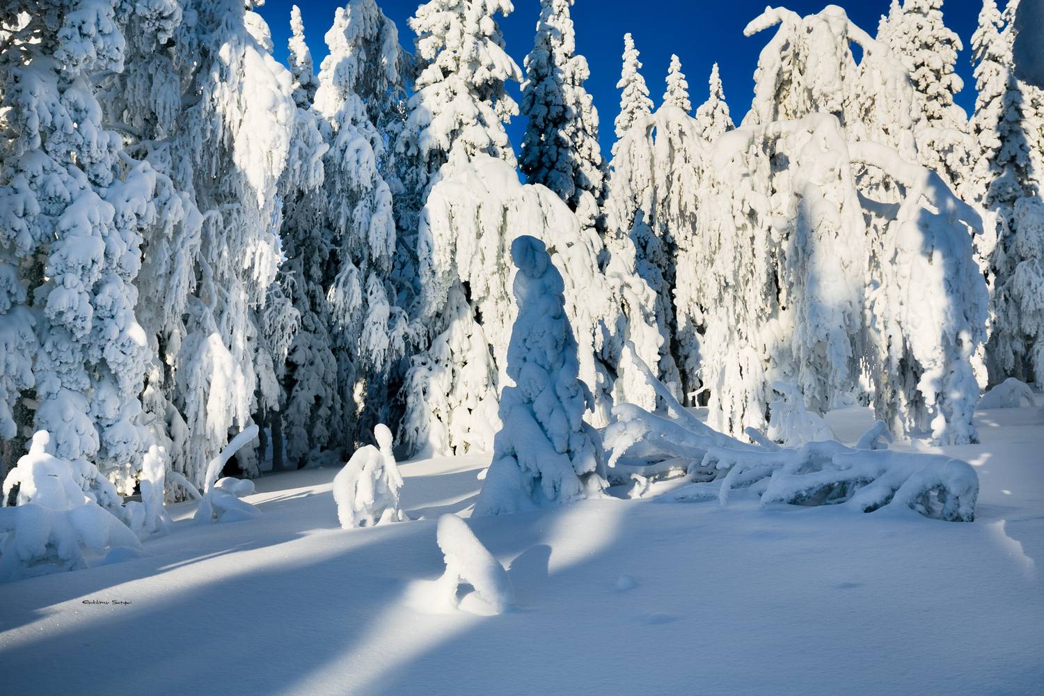 , Евдокимов Сергей
