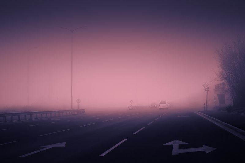 2025-03-10 фото превью