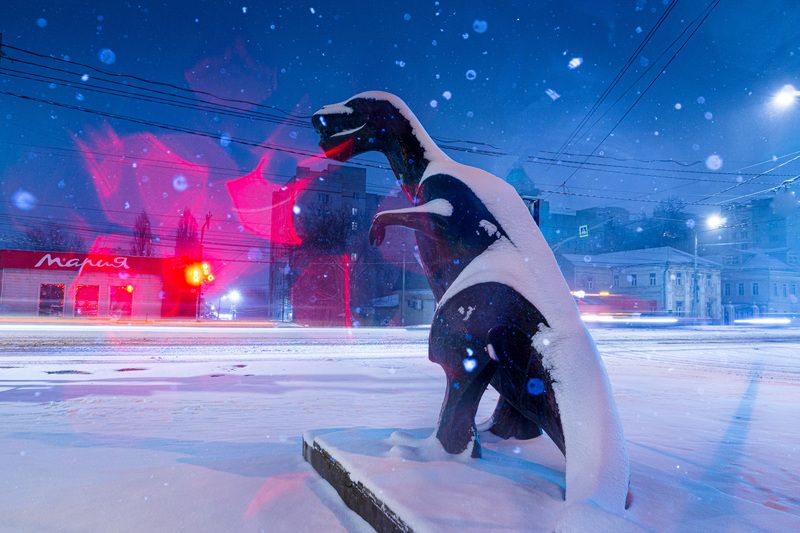 тула, тульский кремль, новый год, 2026, памятник, ёлка Тула новогодняя. фото превью