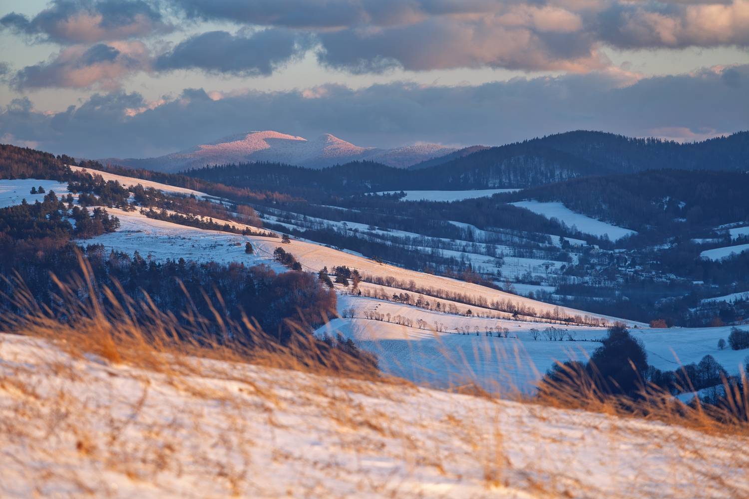 ,  Mirosław Pruchnicki