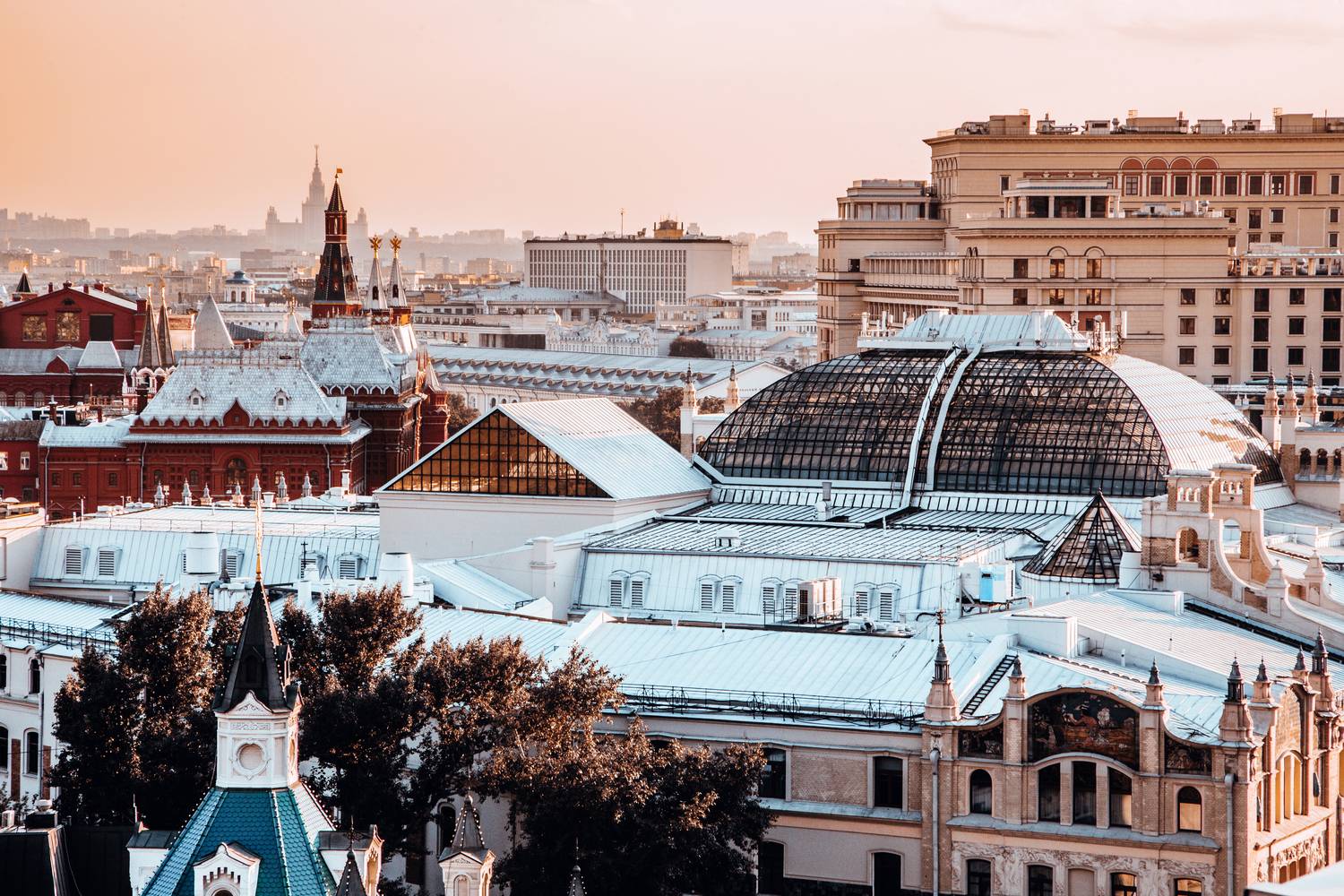 , Трепольский Дмитрий