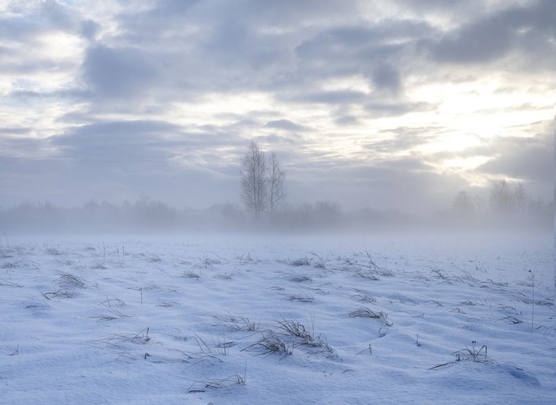mist,feeld,trees,winer,snow Morning mist фото превью