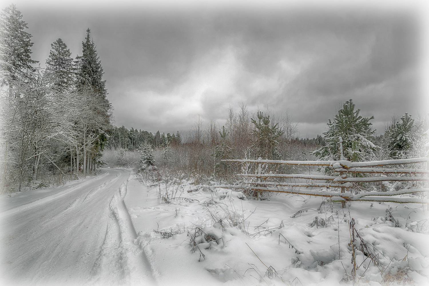 , Сергей Аникин