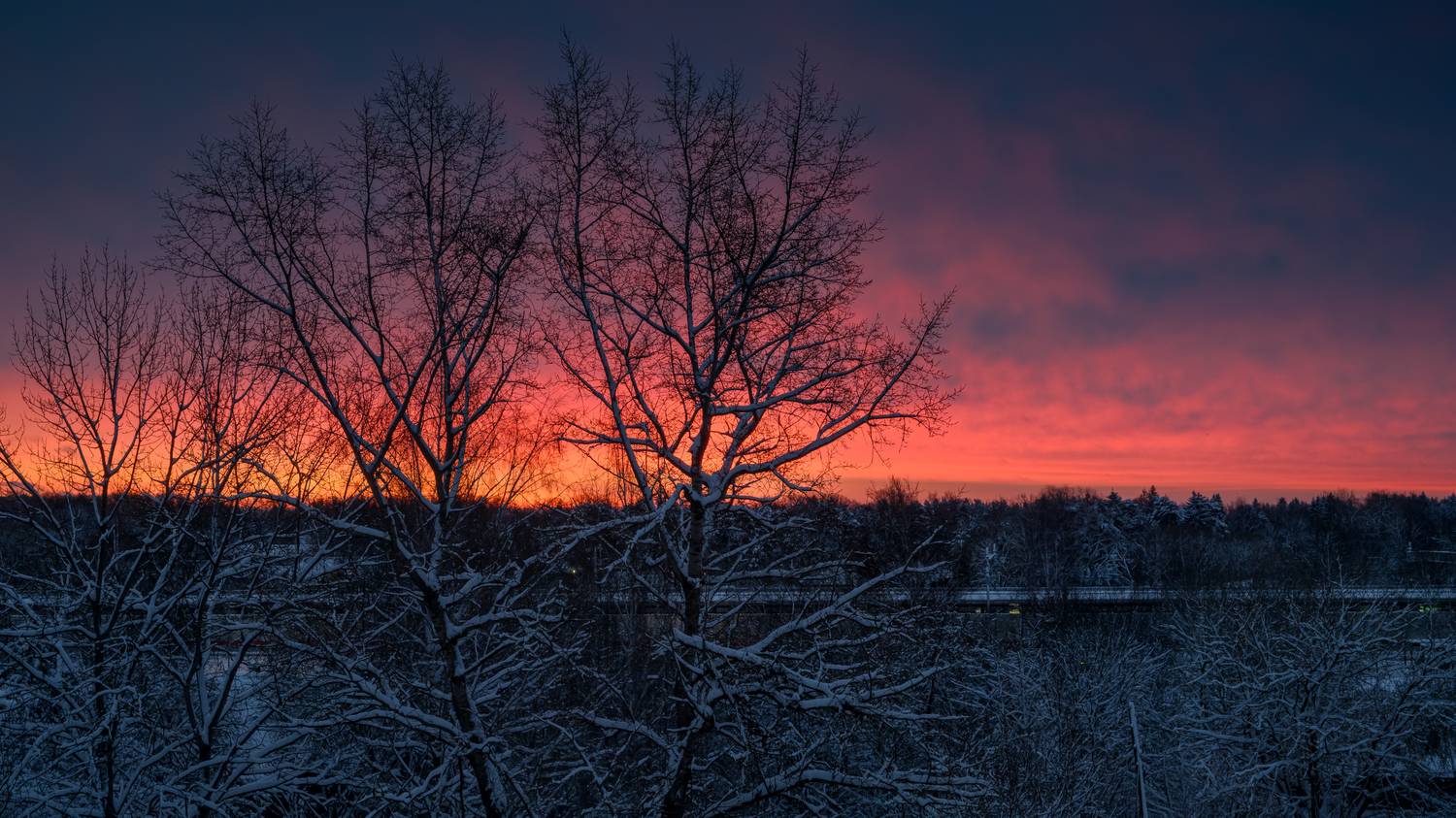 forest, tree, light, winter, sunlight, morning, snow, sunrise, sky, cloud, Андрей Козлов