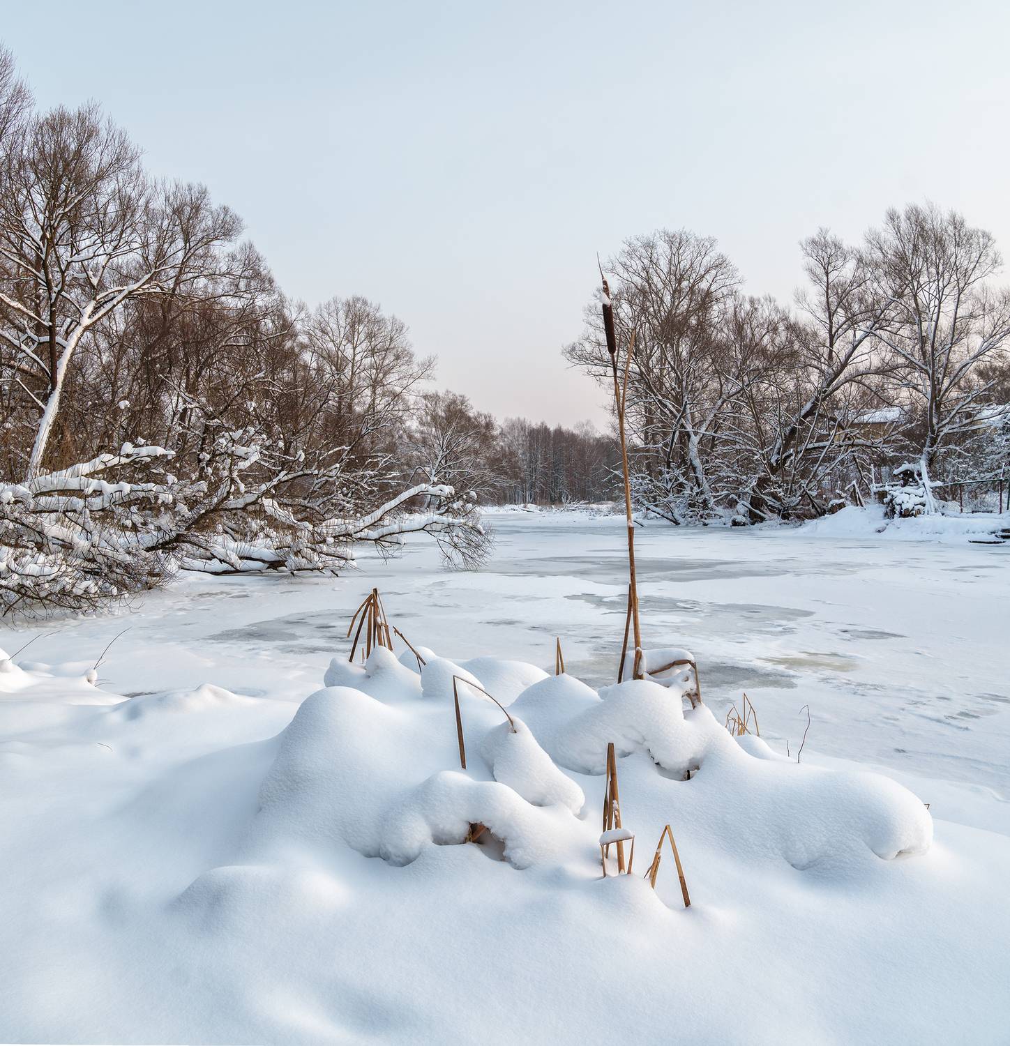 , Андреев Николай