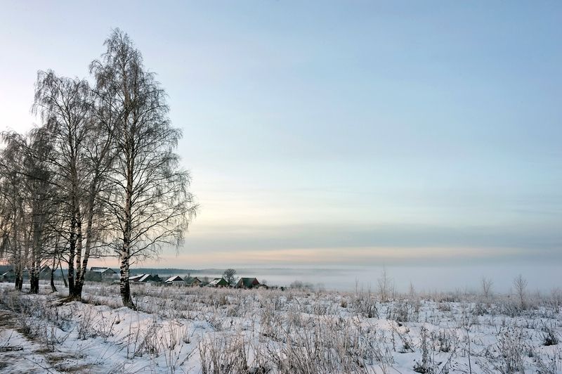 Январский пейзаж фото превью