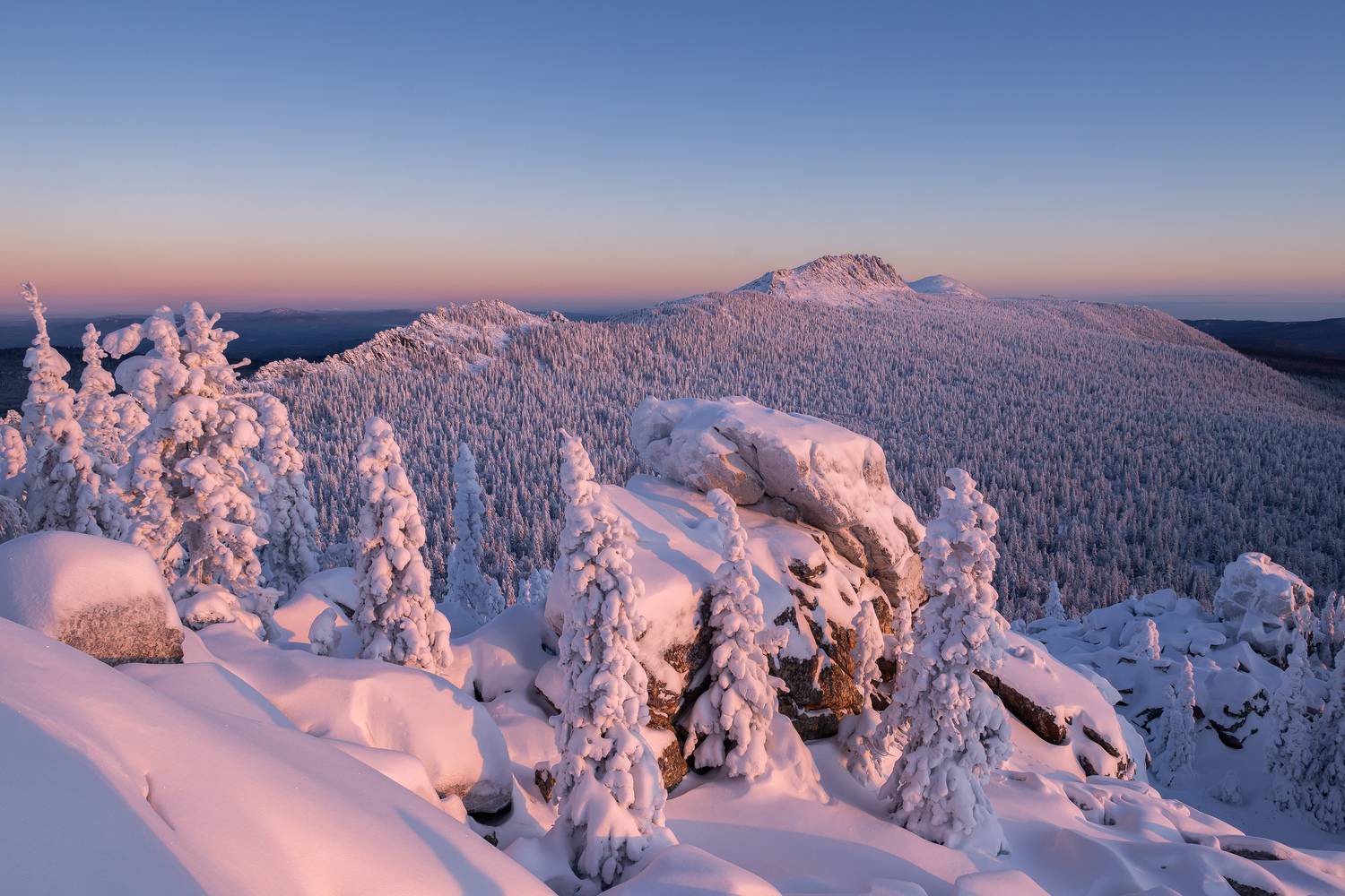 , Андрей Шарапов