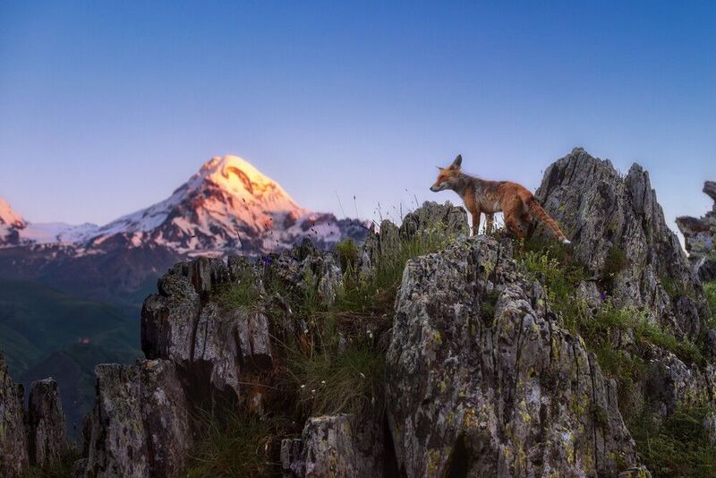 фото превью