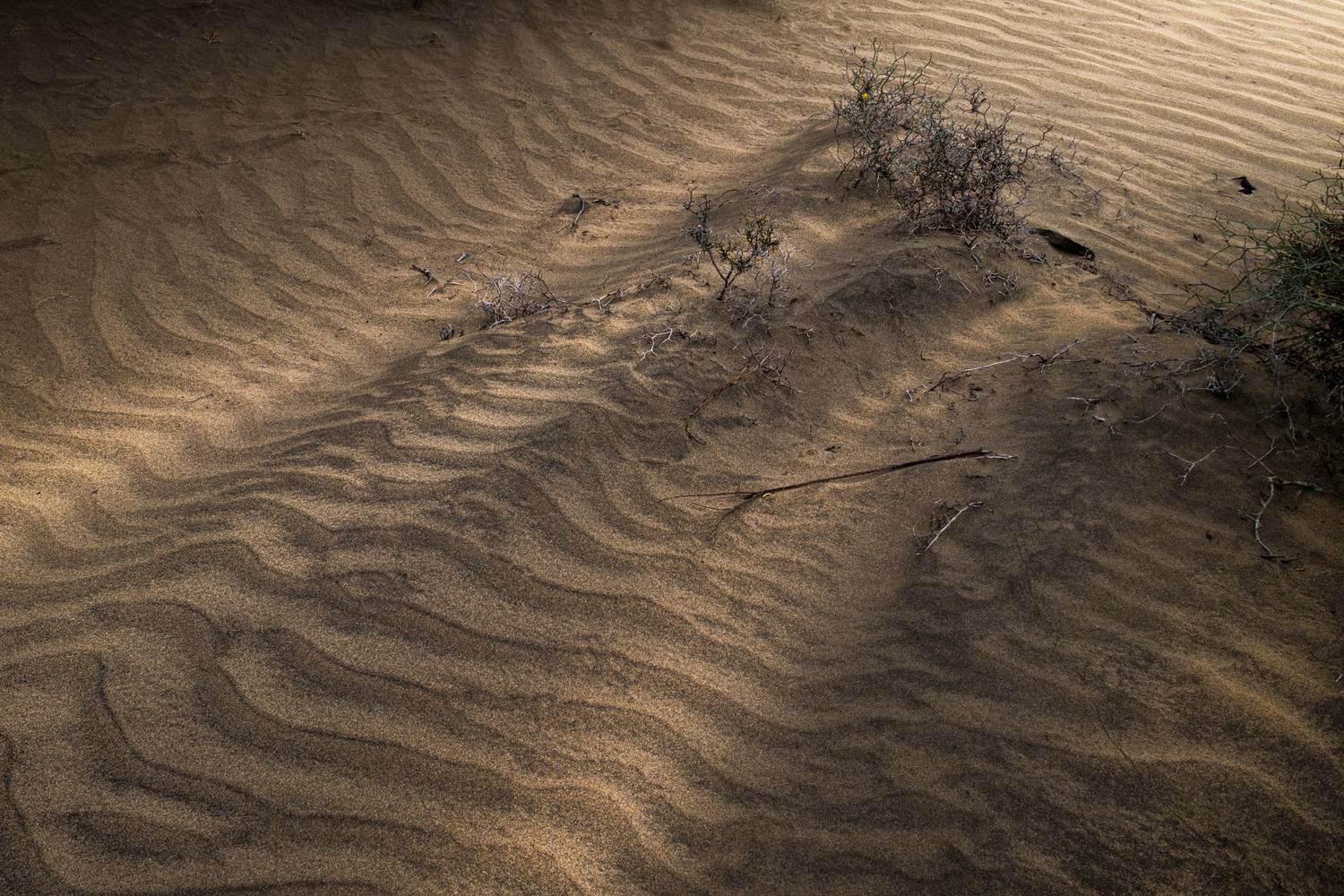 , Георгий Бычковский