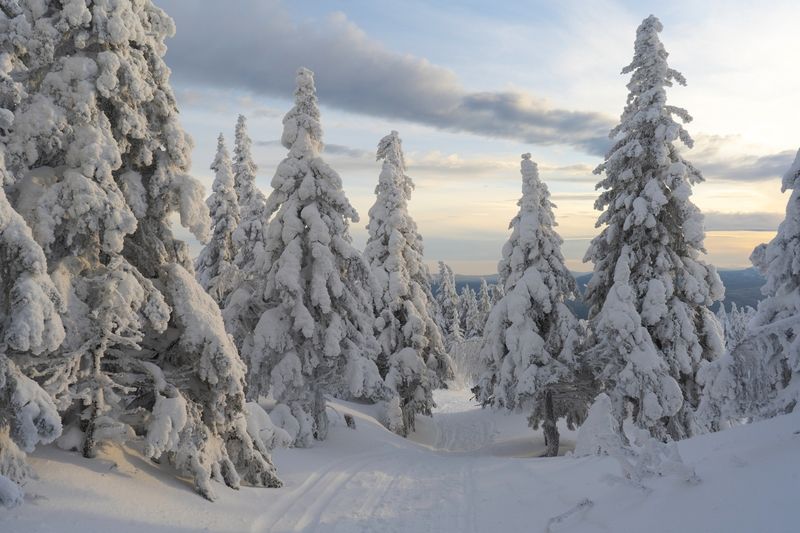 Зимняя сказка Таганая фото превью