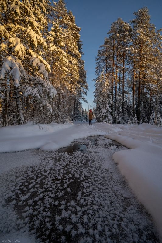 Коротким зимним днем фото превью