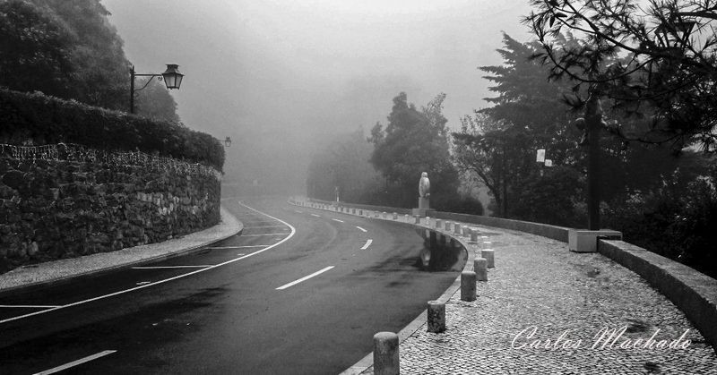 Black & white, Streets, Sintra - Volta do Duche фото превью
