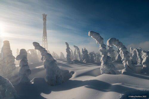 Сибирский этюд