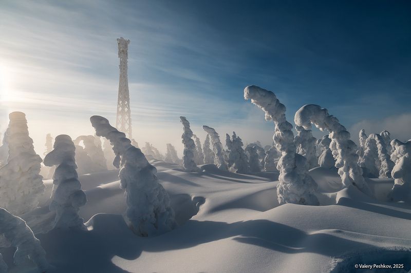 шерегеш, иней, пихты, гора зелёная, горная шория, зимний день, морозная дымка, снег, мороз, зима, сибирь Сибирский этюд фото превью