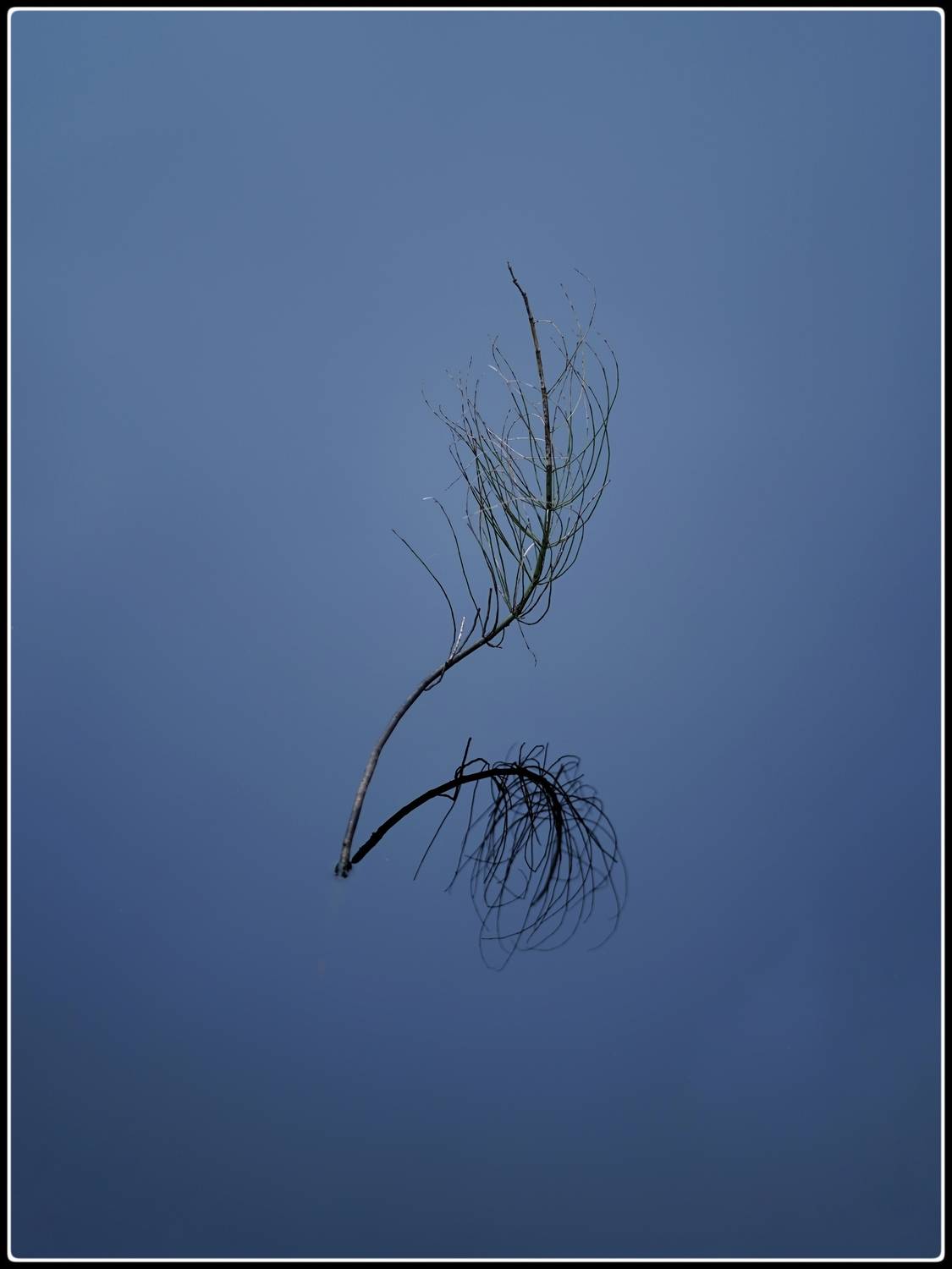 , Алёна Таланова