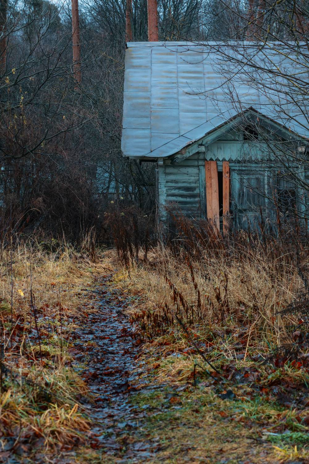 , Костыря Владимир