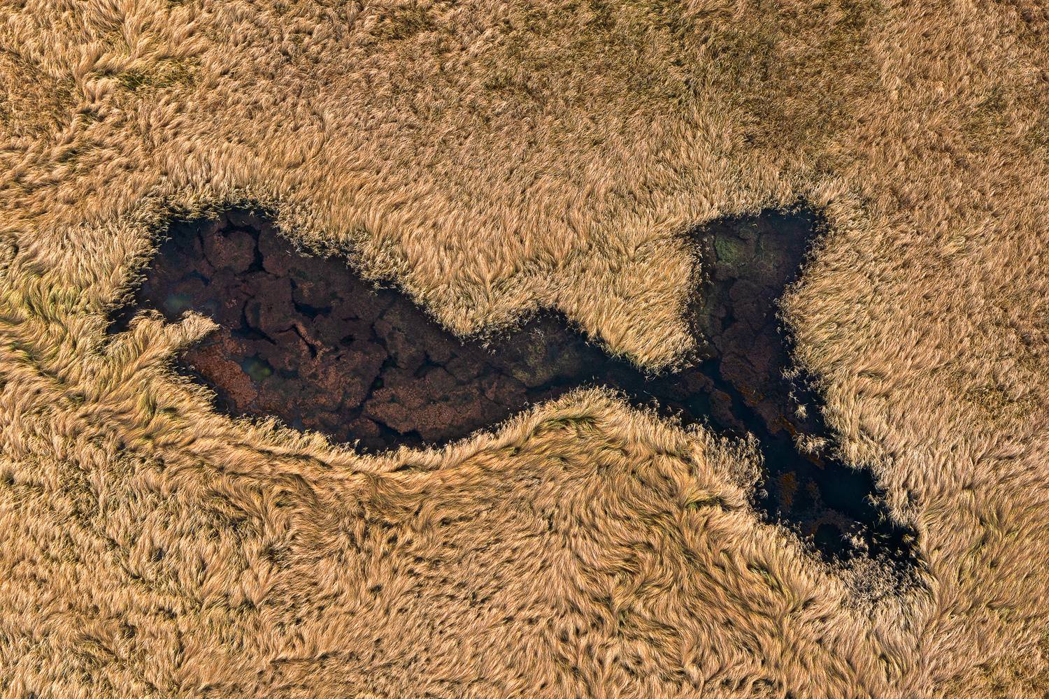 , Константин Маланин