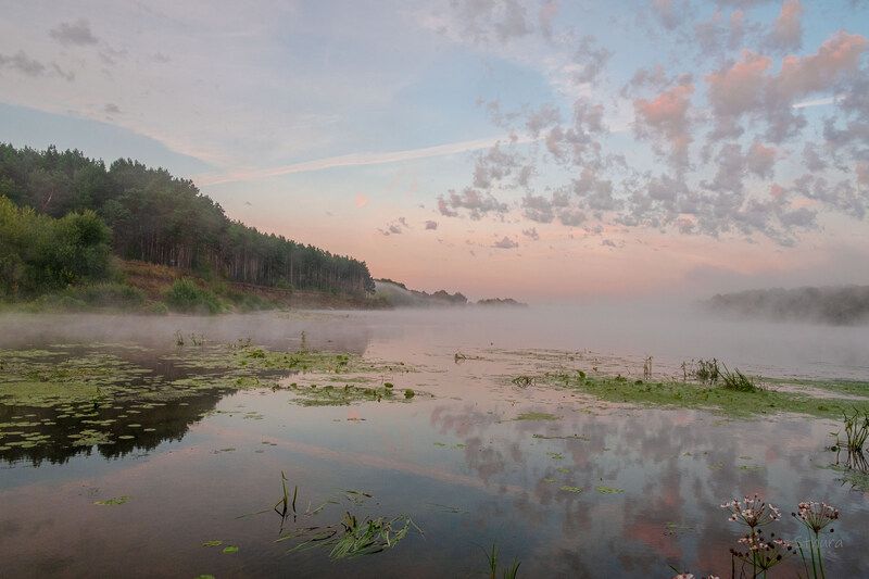 лето река туман облака природа пейзаж рассвет Летний рассвет на Оке. фото превью