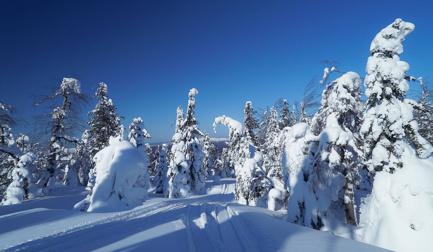 Россия, Пермский край, Помянённый Камень, Красновишерск, , Гаврилов Юрий
